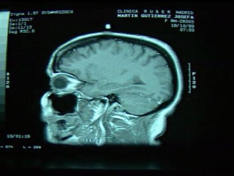 Marvin Minsky: Las máquinas llegarán a ser tan inteligentes como los seres humanos