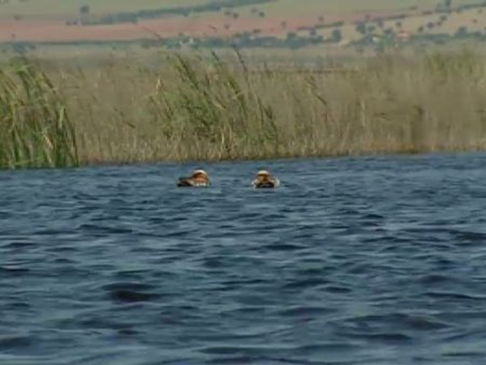 El Gobierno especulará con los Parques Nacionales
