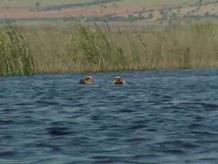 El Gobierno especulará con los Parques Nacionales