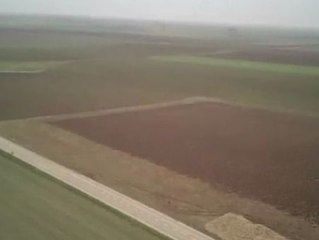 Así caza el halcón peregrino