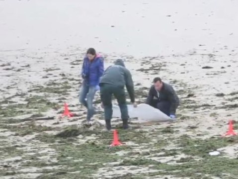 Hallado un cadáver en una playa gallega