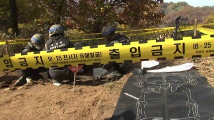 南 홀로 유해 발굴...北 연락사무소 정상화 / YTN