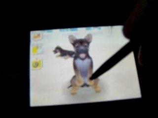 Bug Nintendogs - Glissement de chiot
