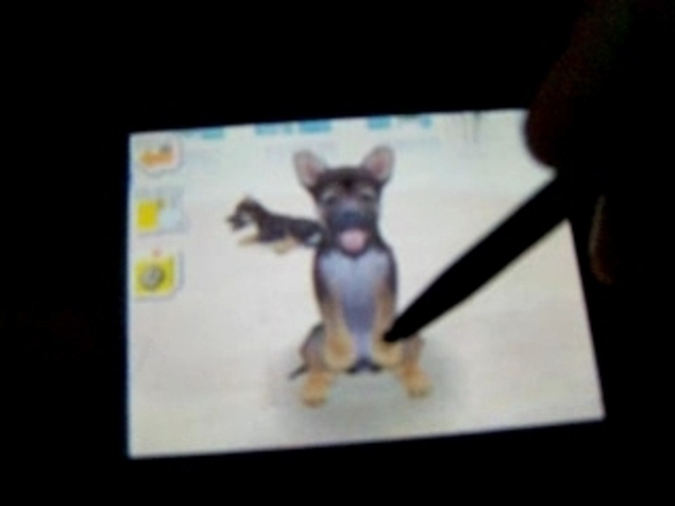 Bug Nintendogs - Glissement de chiot