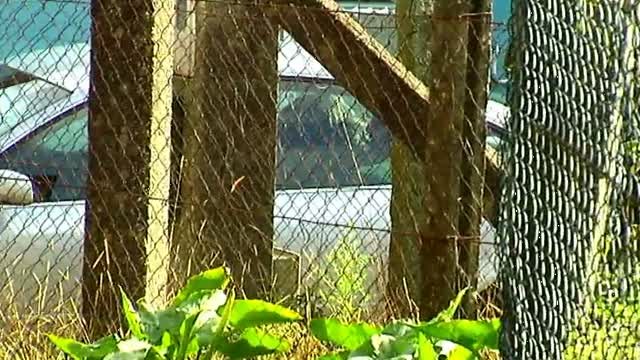 Detenido el principal sospechoso de la desaparición de Diana Quer