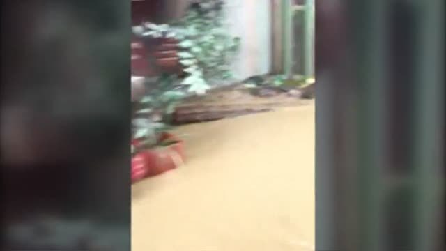 El tifón Tembin deja más de 200 muertos en Filipinas y más de 1 millón de evacuados en Vietnam