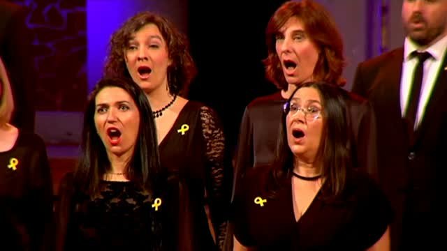 Esteladas y gritos en favor de la independencia en el concierto de Sant Esteve