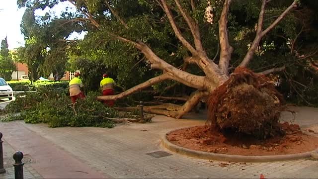 'Bruno' mantiene en alerta a casi toda España por frío, lluvia y viento