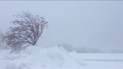 Una fuerte tormenta de nieve paralizó el norte de Japón
