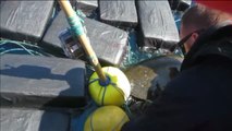 Rescatan a una tortuga enredada entre siete toneladas defardos de cocaína en las costas de Florida
