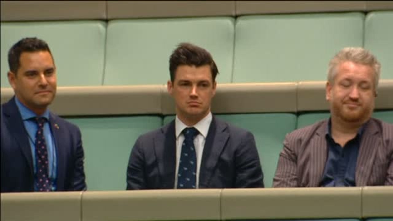 Un diputado australiano le pide matrimonio a su novio también diputado en el Parlamento