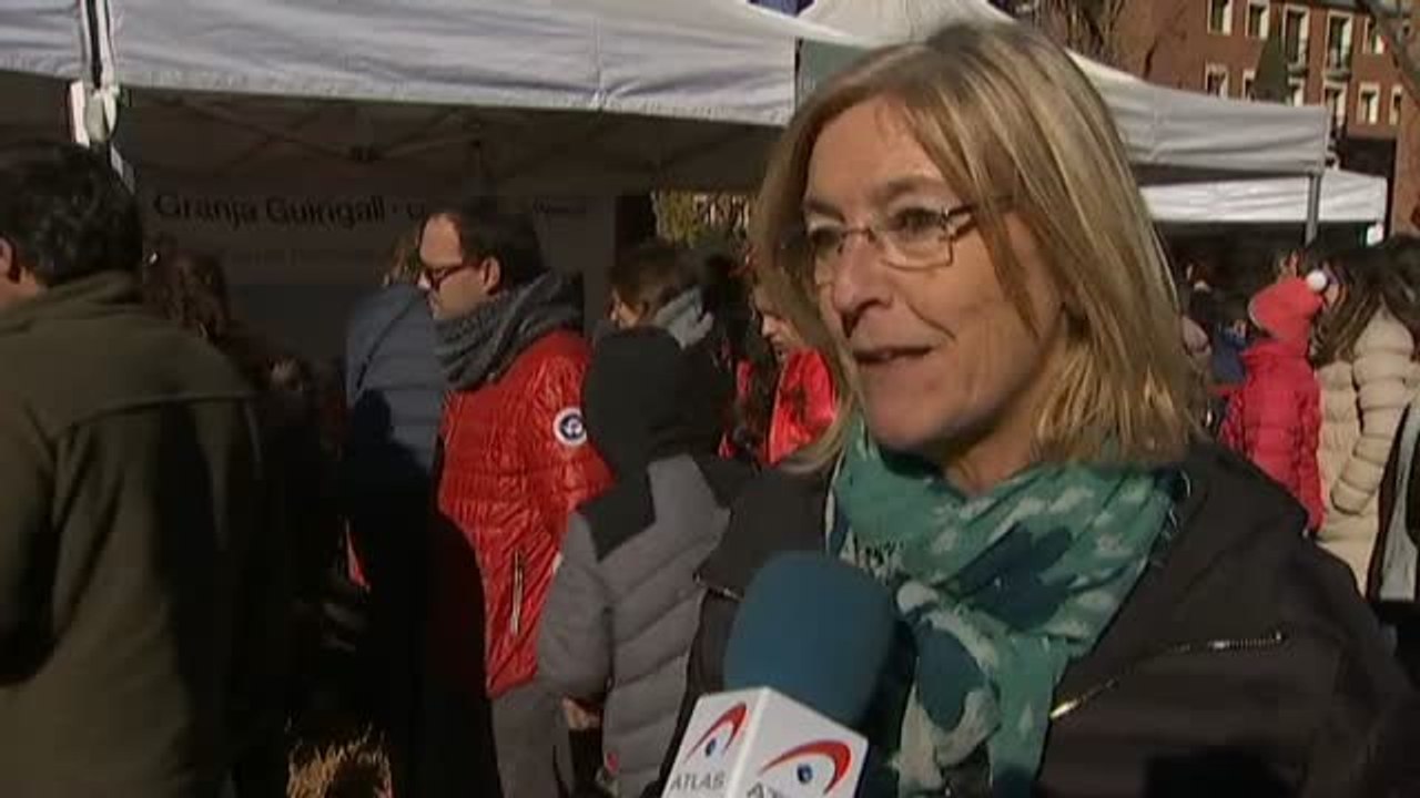 La Feria del Gallo de Vilafranca del Penedés cumple 353 años