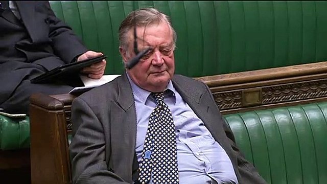 Bill Cash: 'Indicative votes are like liquorice allsorts'