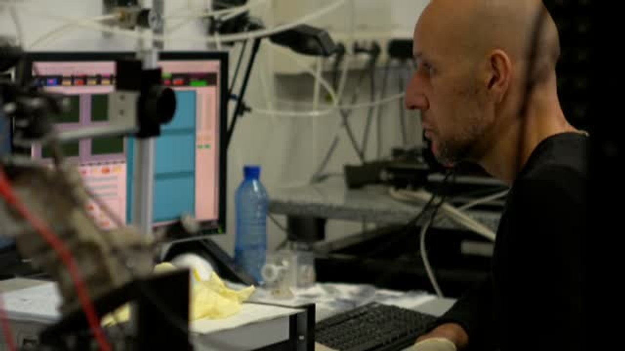 Los mejores físicos de España, premiados por la Real Sociedad Española de Física y la Fundación BBVA