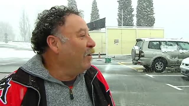 Arboles arrancados de cuajo por culpa del temporal Ana a su paso por Andalucía