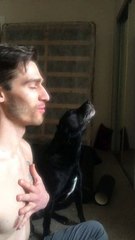 Dog Joins in on Morning Meditation