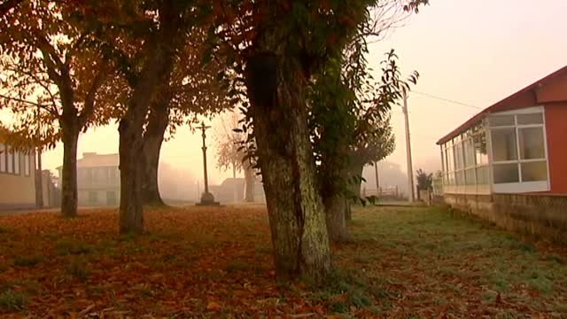 Mucho frío y sol para el miércoles y el jueves, lluvia y niebla después