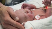 Nace el primer bebé de útero trasplantado en Estados Unidos