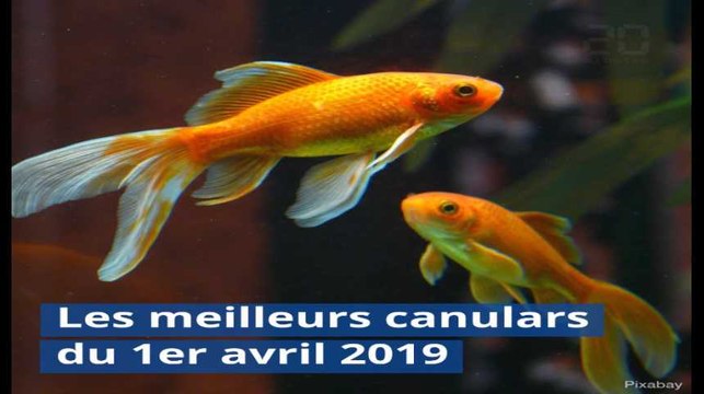 Policiers stupéfiants, lapins gendarmes, métro transformé... Les meilleurs canulars du 1er avril 2019