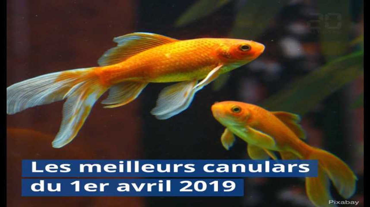Policiers stupéfiants, lapins gendarmes, métro transformé... Les meilleurs canulars du 1er avril 2019
