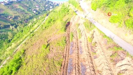 Doğu Karadeniz'de Ormanlık Alanlar Son 16 Yılda Yüzde 3 Arttı