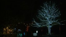 Falta casi un mes para la Navidad y ya se han encendido las luces del Real Jardín Botánico de Londres