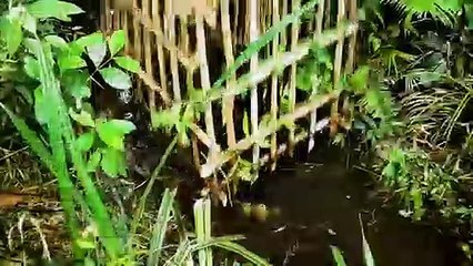 Building the Most Beautiful Two Stairs Villa House in The Middle of the Pool