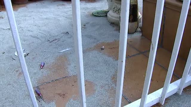 Colaboración ciudadana clave para detener al hombre que presuntamente asesinó a su expareja en Rubí