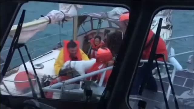 La Guardia Costera de Estados Unidos rescata a tres personas y dos perros