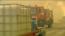 Los incendios dejan al menos 31 muertos en Portugal