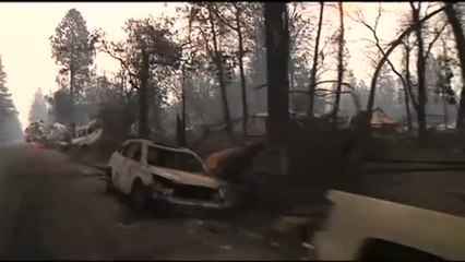 Paradise, la ciudad fantasma