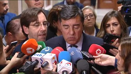 Bermúdez de Castro: "No venimos con la idea de reformar la Constitución"