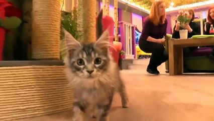 GOODLINES: 2nd April 2019