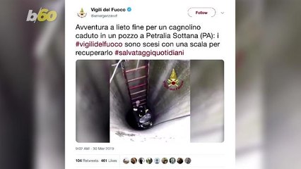 Well-Of-A-Tail! Puppy In Italy Rescued From Well By Firefighters