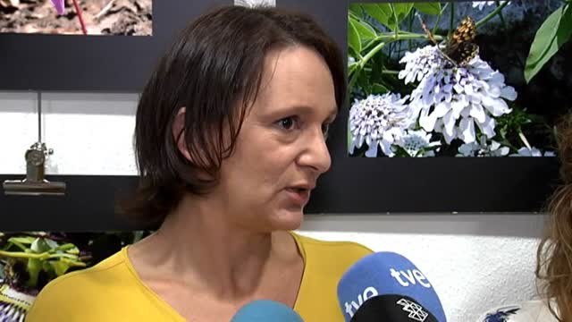 Bescansa: Hemos hablado mucho de la crisis catalana y no de la crisis territorial española