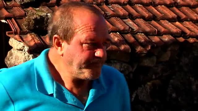 Una anciana atacada brutalmente por dos perros peligrosos