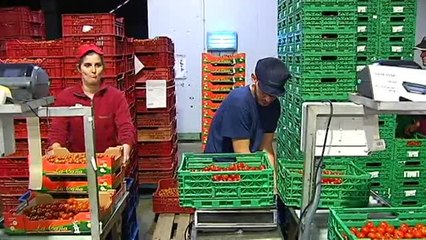 El efecto bumerán del boicot a Cataluña