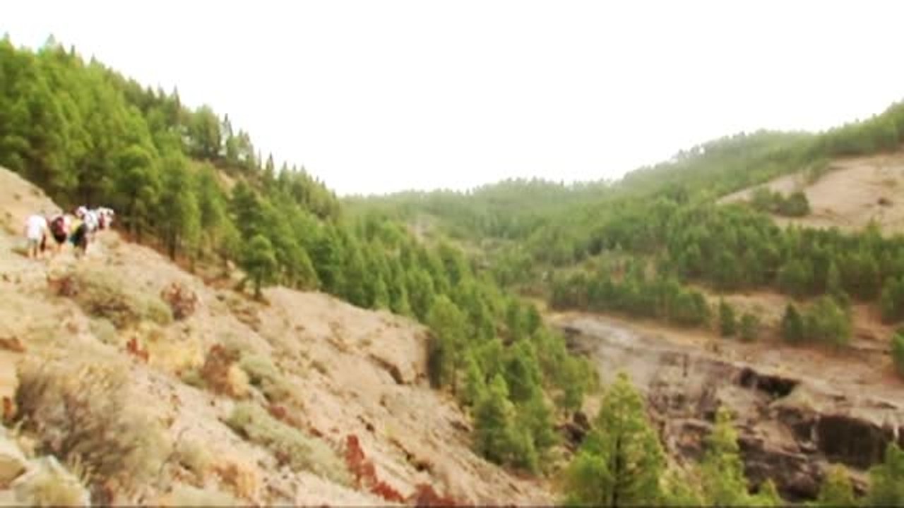El camino canario como pena
