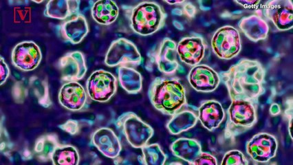 US Measles Cases in 2019 Already at Second Highest Since the Disease Was Eliminated in 2000