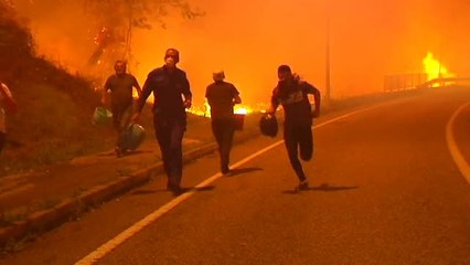 Las llamas cercan la ciudad de Vigo