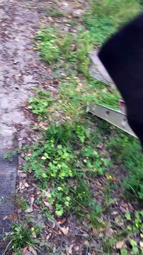 Cheaters : If any 1 knows more to this dirty situation - reply & let AlmightyAntho Anthony W Jackson know! 03 31 2019