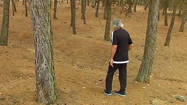 La falta de lluvia retrasa la temporada de setas