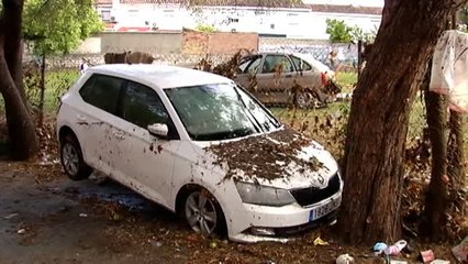 El día después de la gran tromba de agua en Jerez de la Frontera