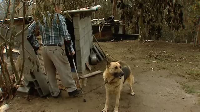 El concejo de Nigrán, una de las zonas más afectadas por los incendios, deja muchas historias de supervivencia
