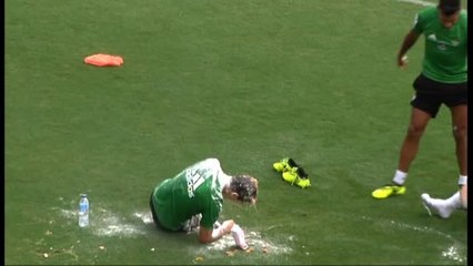 El Betis se encuentra en su mejor momento