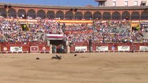 Un guardia civil resulta herido durante una exhibición en Toledo