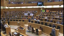 El PDeCAT inicia el pleno del Senado exhibiendo banderas con la palabra 'Democracia'
