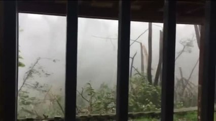 Los efectos del huracán María