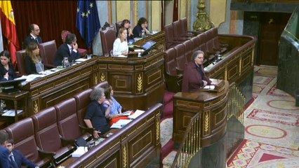 Tardá pide en el Congreso "solidaridad y libertad" para los detenidos ayer en Cataluña