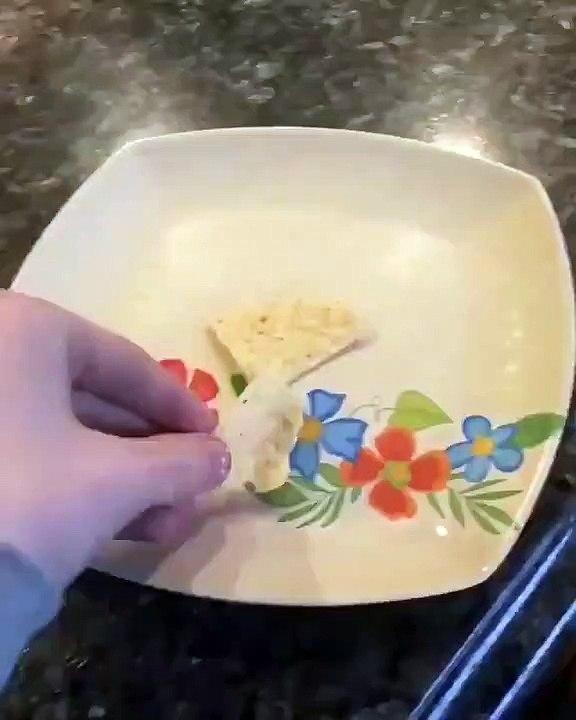 Un chien se fait troller par son maître